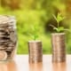 What are the main stages in the transfer of a business? - business - réunion dirigeants business